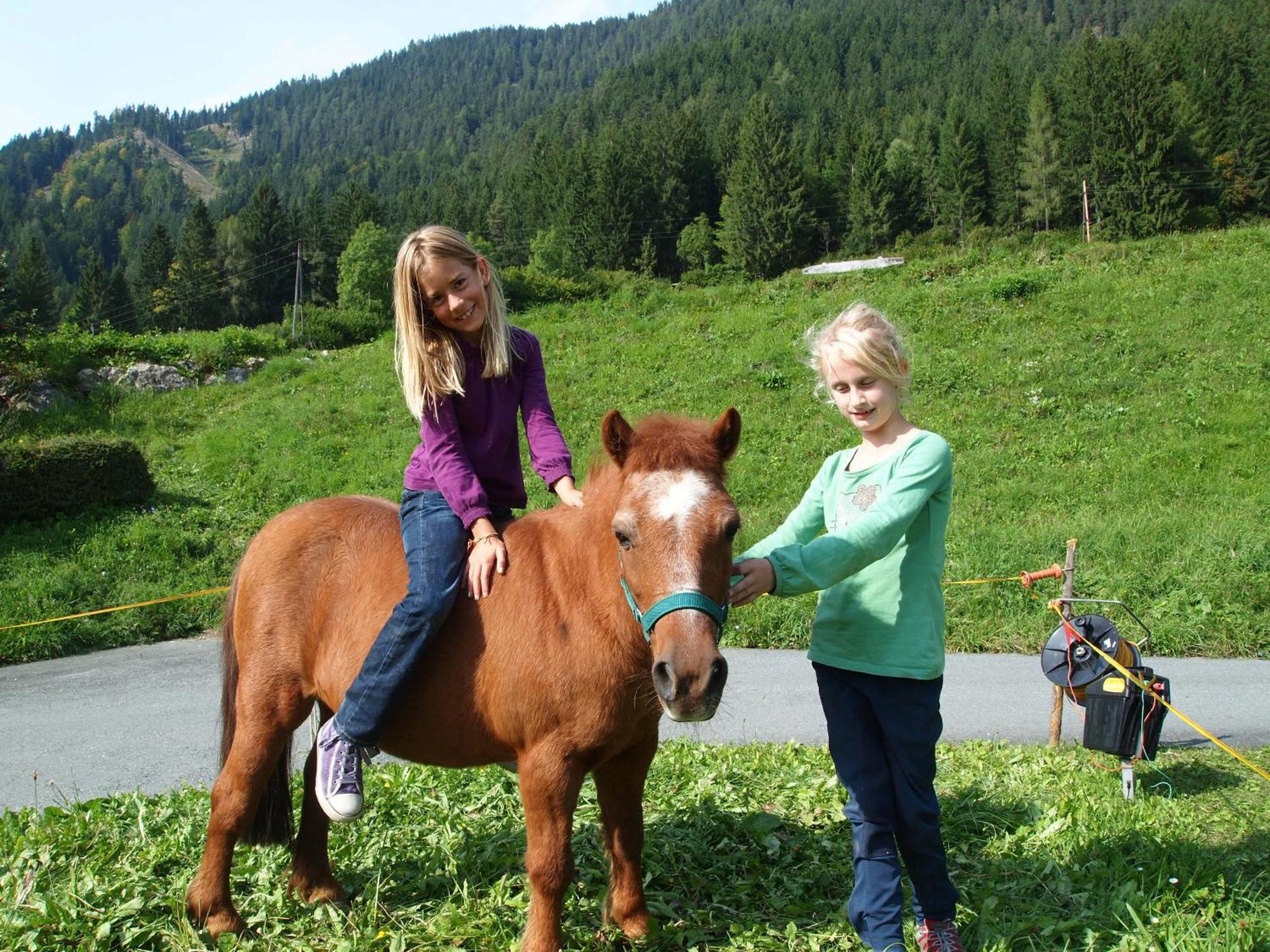 Ferienhof Obergasser Und Bergblick Weissensee Exteriér fotografie